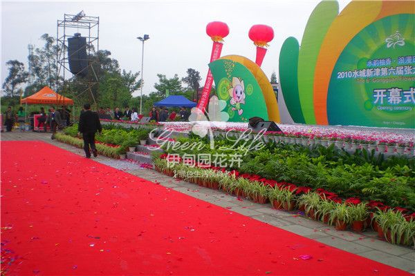 【花卉綠植物租賃】開幕式布置